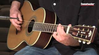 Washburn WP21SENS Acousticelectric Guitar Demo by Sweetwater Sound [upl. by Airt]