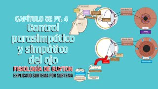 CAP 52 44 Control parasimpático y simpático del ojo l Fisiología de Guyton [upl. by Oigroeg]