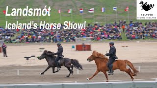 Landsmót Horse Show In Iceland Flying Pace Tolt Ride Too [upl. by Nolita129]