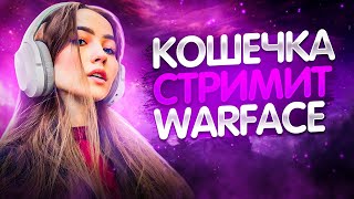 УЮТНЫЙ СТРИМ С КОШЕЧКОЙ🐧💗СТРИМ WARFACE [upl. by Kanor381]