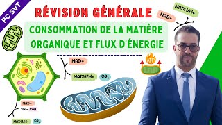 Révision générale de l’unité 1 consommation de la matière organique et flux d’énergie [upl. by Hewet]