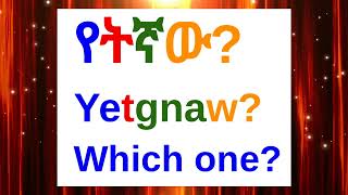 How To Say quotWhich Onequot In AmharicAmharic Phrases For BeginnersአማርኛእንግሊዝኛAmharic LessonAmharic [upl. by Yenahpets939]