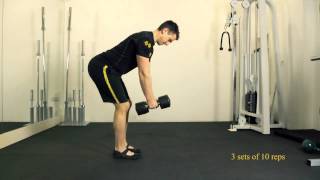 Bent Over Dumbbell Row [upl. by Gabrielson]