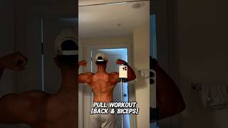 Full Back amp Biceps Workout  backworkout bicepsworkout viralshorts [upl. by Manoff]