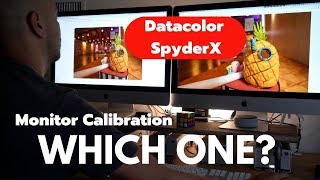 Should you get the SpyderX Color Calibration Device for your monitor [upl. by Einnahc]