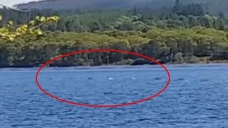 Turista logra grabar en vídeo parte del cuerpo del monstruo del lago Ness [upl. by Eleonora]