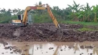 We are clearing the old banana plantation to prepare for agriculture excavator dance P2 [upl. by Paule]