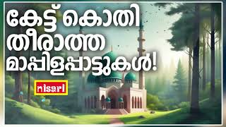 Mappilapattukal  Mappila Pattukal Malayalam  Malayalam Mappila Songs  Old Mappilappattukal [upl. by Anglo498]