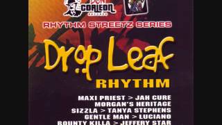 Drop Leaf Riddim Mix 2005 By DJ WOLFPAK [upl. by Htebazileyram]