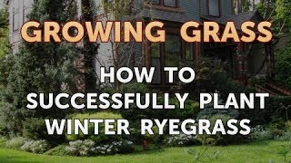 How to Successfully Plant Winter Ryegrass [upl. by Ramal793]