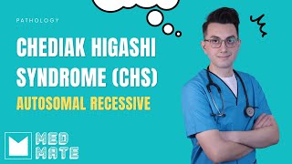 Chediak Higashi Syndrome CHS  Pathology [upl. by Arriec]