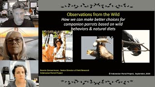 Go Wild An Avian Nutrition Podcast Ep 2 [upl. by Bedwell]