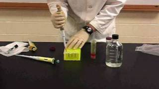 Protein Methods 2010  Dilutions with Chromophores no audio [upl. by Jaclyn]