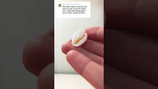 How to put a cowrie shell on string tutorial viral jewelrymaking replytocomments howto [upl. by Ettenwad]