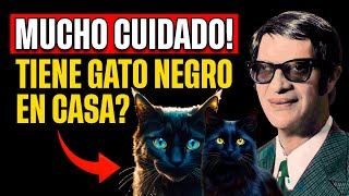 Impactante lo que Chico Xavier predijo para quienes tienen GATO NEGRO EN CASA  Espiritualidad [upl. by Nrehtac]