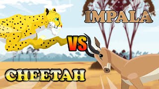 Cheetah vs Impala  Carnivores vs Herbivores S1  Animal Animation [upl. by Onitnelav]