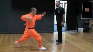 shaolin fighting applications [upl. by Holub]