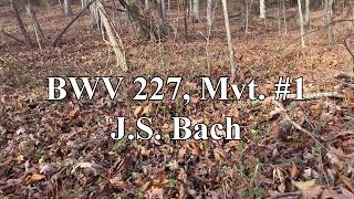 BWV 227 Mvt 1  JS Bach [upl. by Antons39]