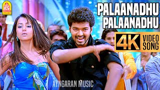 Palaanadhu Palaanadhu  4K Video Song பலானது பலானது Kuruvi  Vijay  Trisha  Vidyasagar  Ayngaran [upl. by Annatnas456]