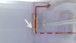 Episode 8  Removing Bubbles in MicrofluidicsBased Diagnostics [upl. by Esdnil504]