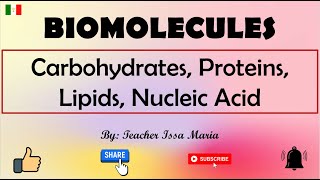 Biomolecules  Classification of Biomolecules  Carbohydrates Proteins Lipids and Nucleic Acids [upl. by Dranyar]