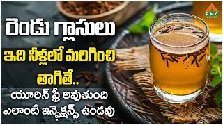 రెండు గ్లాసులు ఇది నీళ్లలో మరిగించి తాగితే యూరిన్ ఫ్రీ అవుతుంది  PMC Health [upl. by Lynad672]