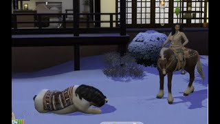 Horse Vacation Adventure Sims 4 KT PT 5 [upl. by Bonar]