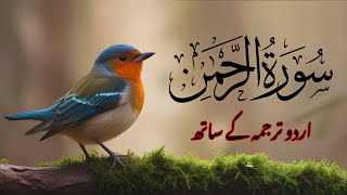 SURAH RAHMAN TARJUMA KE SATH QARI AL SHAIKH ABDUL BASIT ABDUL SAMAD  Live 023 [upl. by Leksehcey]