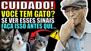 Chico Xavier Revela o Que Você NUNCA Esperava sobre os GATOS Todos Estão Chocados I Revela Profecias [upl. by Heall]