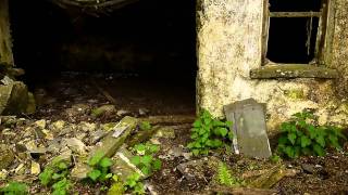 Very Old Irish Farm Co Tipperary Famine House [upl. by Znerol]