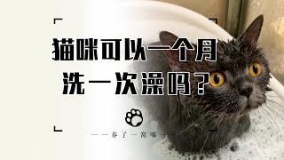 猫咪多久洗一次澡合适？1个月洗1次可以吗？ [upl. by Seiter869]