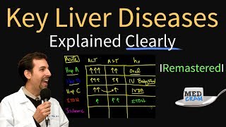 Diagnosis of Key Liver Diseases  Hepatitis A B C vs Alcoholic vs Ischemic AST vs ALT Labs [upl. by Ienttirb]