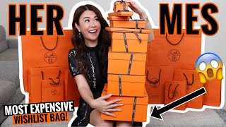 OMG My Most EXPENSIVE Hermes Unboxing Haul Rare Birkin or Kelly How much did I have to SPEND [upl. by Ahasuerus]