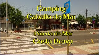 Camping Caballo de Mar  Pineda de Mar  Costa Brava [upl. by Anailil]