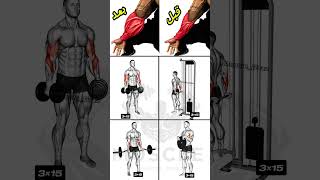 تمارين لتقوية عضلات الساعدين  forearms workout [upl. by Gobert426]