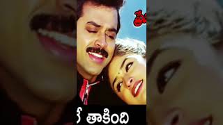 Meghale Thakindi Hai Hailesa Song Venkatesh [upl. by Rramahs]