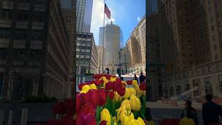 The Helmsley Building summitonevanderbilt metlife parkavenue grandcentralterminal nyc newyork [upl. by Amahcen496]