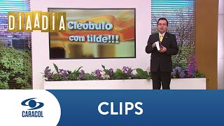 ¿Se dice junto a o junto con El profesor Cleóbulo te explica  Caracol TV [upl. by Yrennalf]