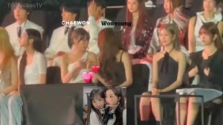 Chaewon amp Wonyoung momentsIzone Reunion37th Golden Disc Award 2023 [upl. by Arinayed]