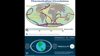 Perpetual Thermohaline Circulation [upl. by Rochelle215]