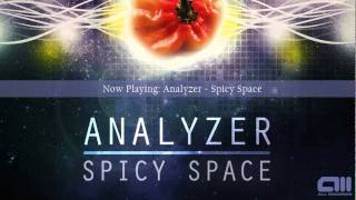 Analyzer  Spicy Space ALLDEP027 [upl. by Landa]