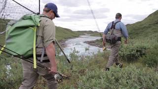 Tree River Camp  Plummers Arctic Lodges [upl. by Kcirreg]