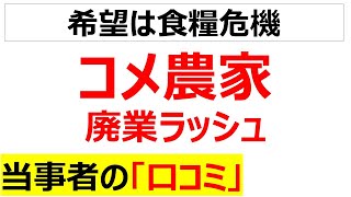 どうあがいても絶望コメ農家廃業ラッシュの当事者の口コミを20件紹介します [upl. by Aicenad]