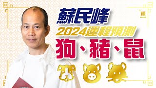 蘇民峰2024年狗豬鼠生肖運程 附犯太歲化解方法 ｜屬狗人緣運佳、屬豬紅鸞星動、 屬鼠易升職 ｜十二生肖｜龍年運程｜2024年運程｜附字幕｜九運｜事業運｜財運｜犯太歲｜香港樓市｜絪緣運 [upl. by Mera]