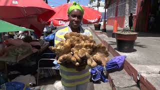 Food Security At The Heart Of Discussions At OECS Youth In Agriculture Symposium [upl. by Aliuqehs]