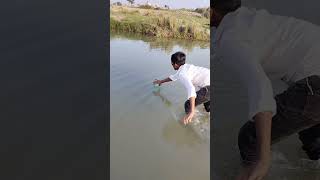 Unbelievable fishing in river fishing bigfish fishingvideo amazingfishing reels [upl. by Zeuqcaj]