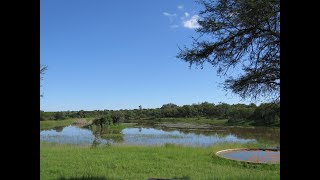 370 Ha Game and Cattle farm Mookgopong Naboomspruit Limpopo [upl. by Assilym]