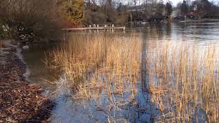 Tutzing am Starnberger See  Kustermann Park [upl. by Murrah]