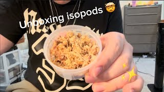 Unboxing ISOPODS [upl. by Strong838]