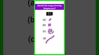 Quiz15  Bacterial Identification  microbiology bacteria shorts basicappliedmicrobiology [upl. by Nanni]